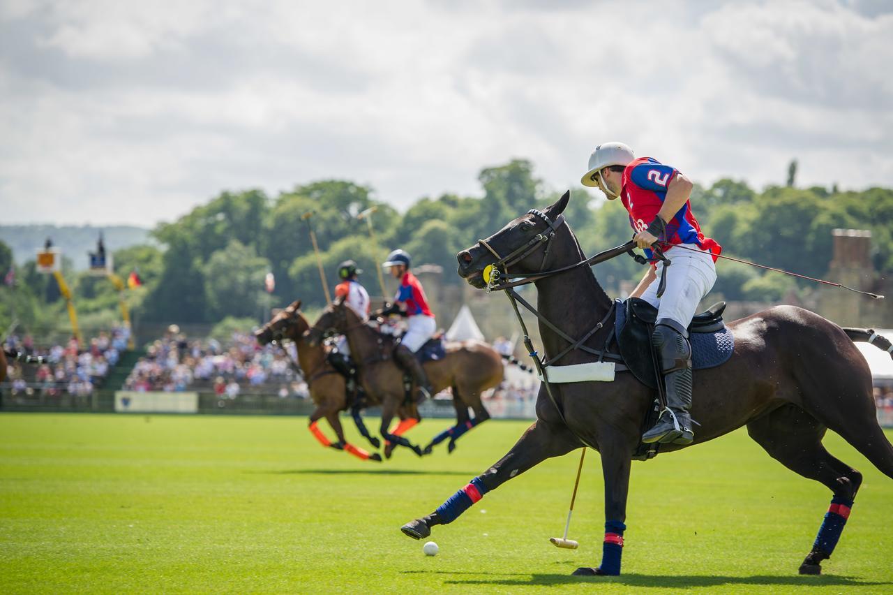 Cowdray Lodge Midhurst Eksteriør bilde